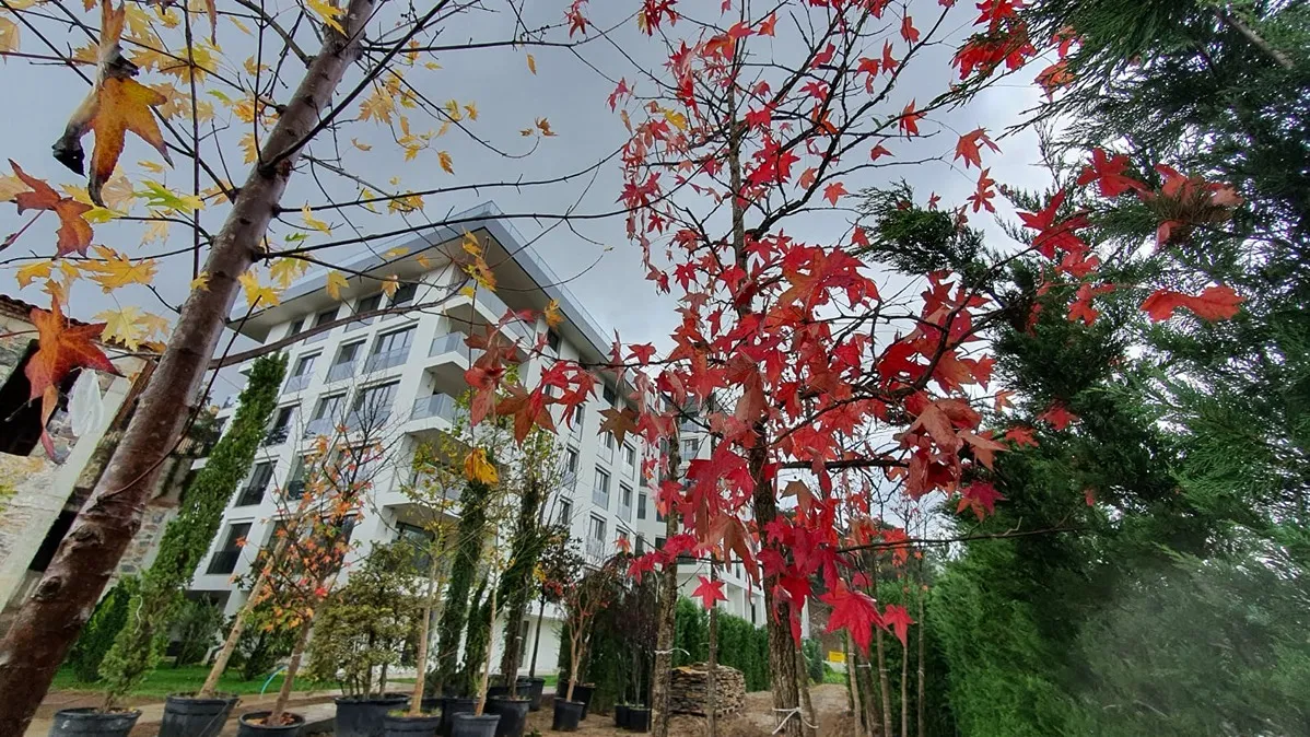 buy-property (7)